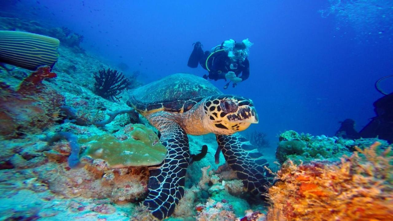 Club Kaafu Maldives Hotel Dhiffushi Luaran gambar