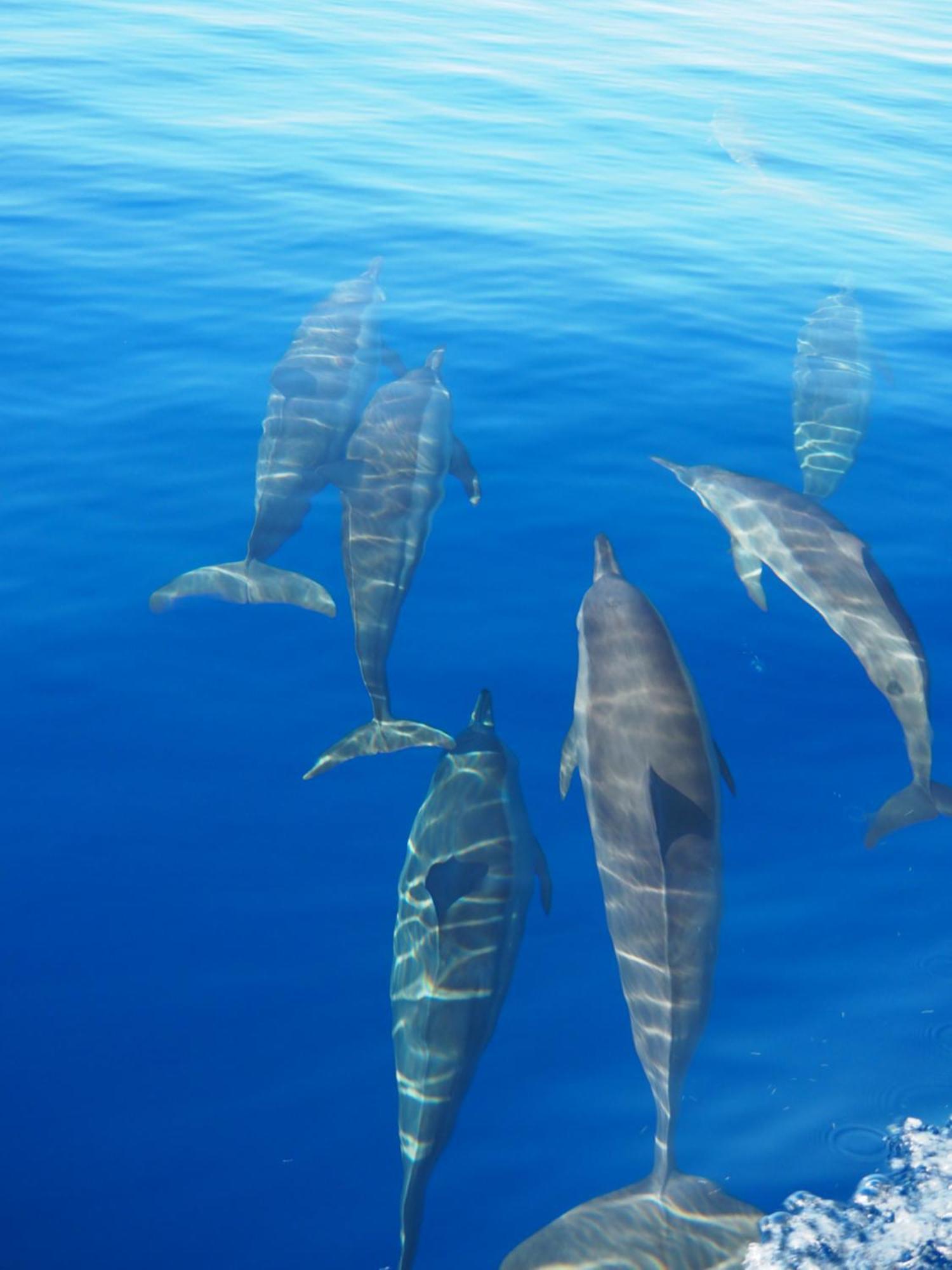 Club Kaafu Maldives Hotel Dhiffushi Luaran gambar